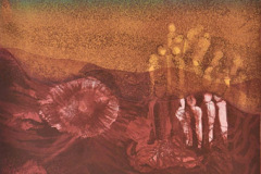 María Emilia Somoza (2005) Renacer Aguafuerte, edición 8/25 26" x 19 3/4" Donación, Sucesión María Emilia Somoza