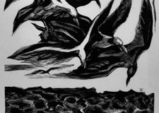 Bonito Norte a la Cáncora (Las Gaviotas) (1967) Lorenzo Homar Xilografía, edición V/XV 73" x 38"